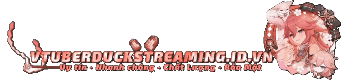 DuckStreamer Logo